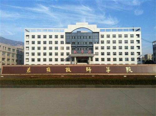 泰安技師學(xué)院畢業(yè)生就業(yè)單位有哪些？