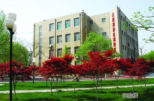 淄博市工業(yè)學(xué)校開設(shè)哪些計算機課程？