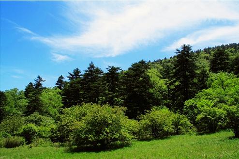 邢臺(tái)沙河市綜合職教中心現(xiàn)代林業(yè)技術(shù)怎么樣？